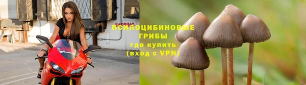 первитин Ачинск