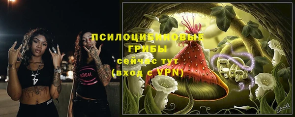 эйфоретик Алзамай