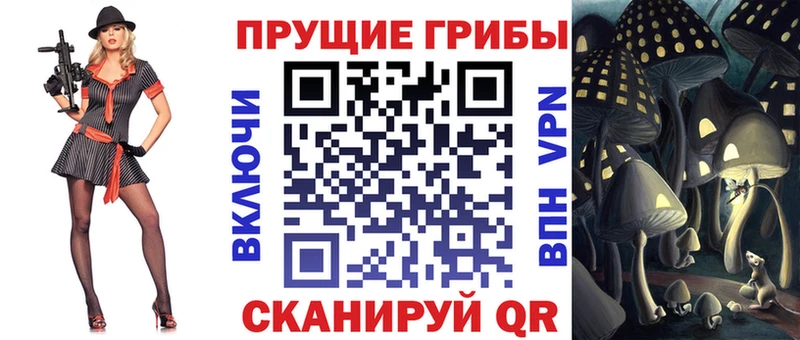 Галлюциногенные грибы мицелий  закладка  Апрелевка 