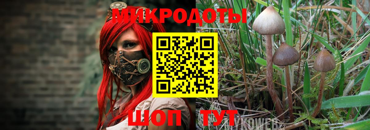 Галлюциногенные грибы мицелий  Вход с VPN  наркотики  Апрелевка 
